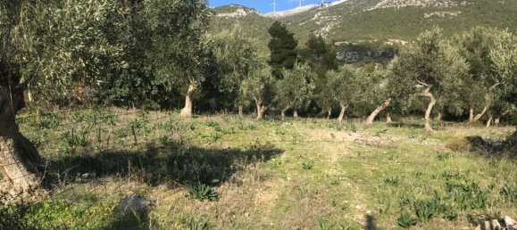 Hotel en Vilia, Greece 3660 m² No. 2877 4