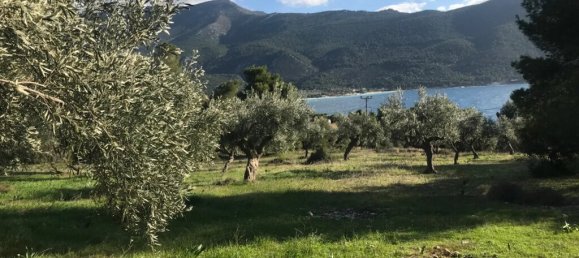 Hotel en Vilia, Greece 3660 m² No. 2877 2