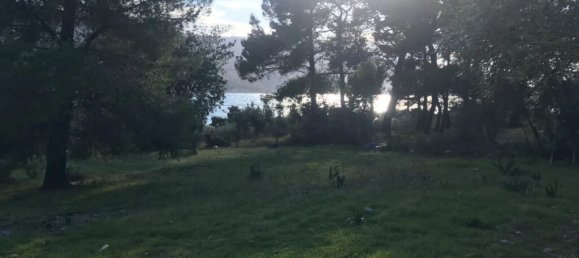 Hotel en Vilia, Greece 3660 m² No. 2877 5