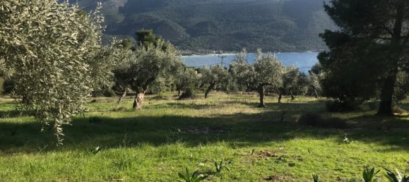 Hotel en Vilia, Greece 3660 m² No. 2877 6