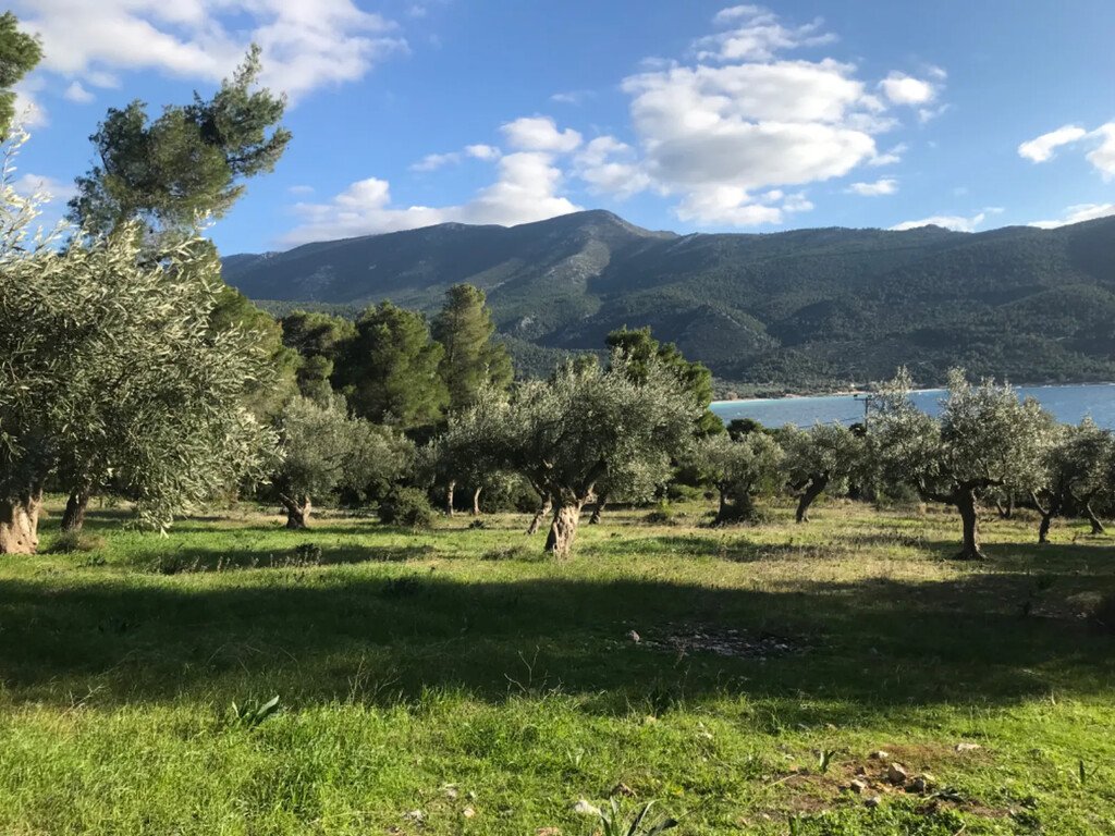 3660m² hôtel à vendre à Vilia, Mandra-Eidyllia, West Attica, Attica, Greece № 2877