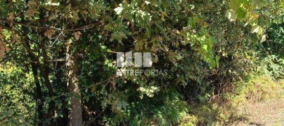 Grundstück in Espadanedo, Portugal 3400m², Nr. 50194 17