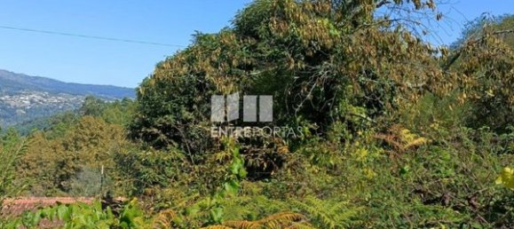 Grundstück in Espadanedo, Portugal 3400m², Nr. 50194 10