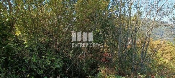 Grundstück in Espadanedo, Portugal 3400m², Nr. 50194 3