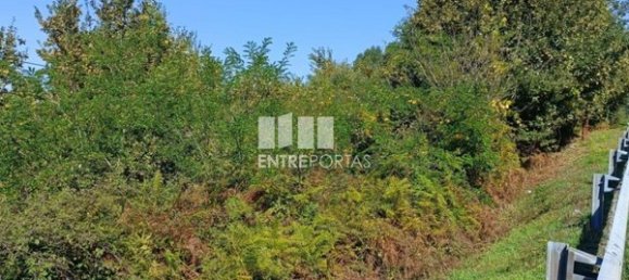 Grundstück in Espadanedo, Portugal 3400m², Nr. 50194 12