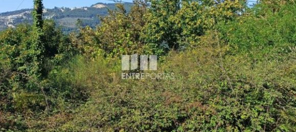 Grundstück in Espadanedo, Portugal 3400m², Nr. 50194 16