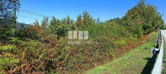 Grundstück in Espadanedo, Portugal 3400m², Nr. 50194 18