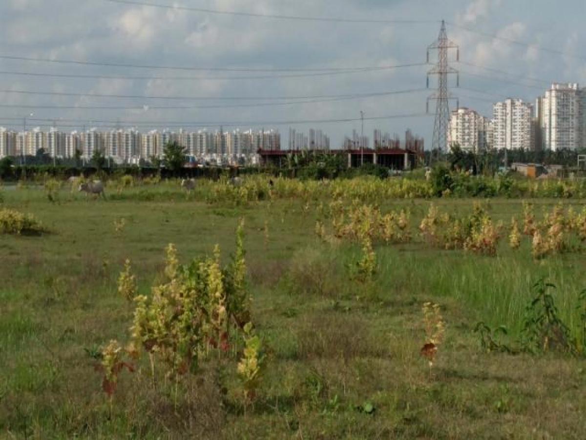  Land in Kolkata, India No. 33435