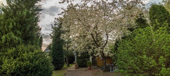  Land in Neunkirchen, Germany No. 10664 2