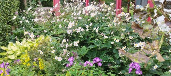 2 bedrooms House in Markischer, Germany No. 239541 4