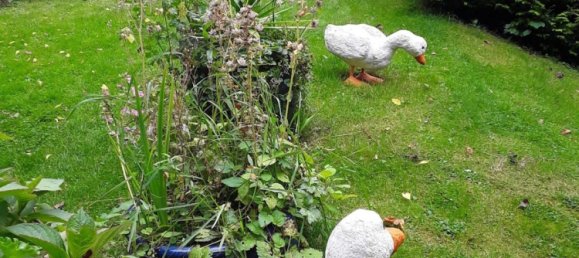 2 bedrooms House in Markischer, Germany No. 239541 5