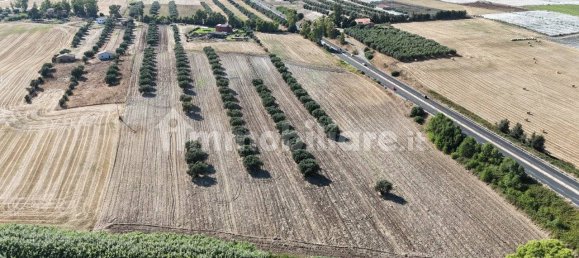 57000m² Land in Montalto di Castro, Italy No. 289834 4