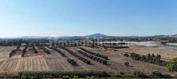 57000m² Land in Montalto di Castro, Italy No. 289834 2