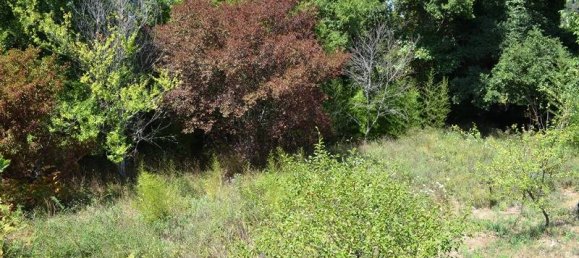 Propiedad comercial de 2 dormitorios en Corfu, Greece No. 6104 19