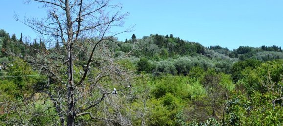 Propiedad comercial de 2 dormitorios en Corfu, Greece No. 6104 21