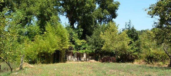 Propiedad comercial de 2 dormitorios en Corfu, Greece No. 6104 3