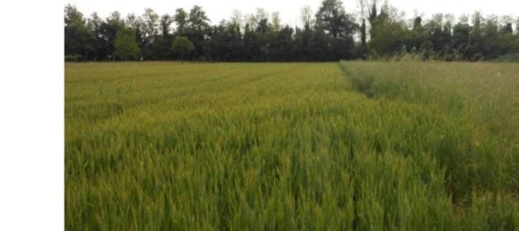 Земельный участок 10418м² в Санторсо, Италия № 257976 11