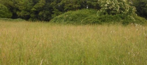 Земельный участок 10418м² в Санторсо, Италия № 257976 6