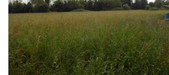 Земельный участок 10418м² в Санторсо, Италия № 257976 10