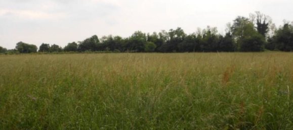 Земельный участок 10418м² в Санторсо, Италия № 257976 9