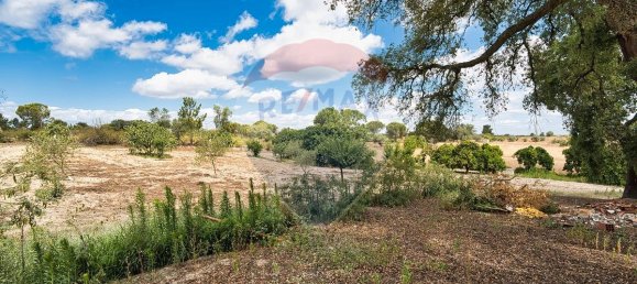 4 bedrooms House in Coruche, Portugal No. 181246 10