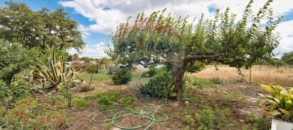 4 bedrooms House in Coruche, Portugal No. 181246 8