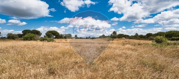 4 bedrooms House in Coruche, Portugal No. 181246 12