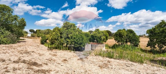 4 bedrooms House in Coruche, Portugal No. 181246 11