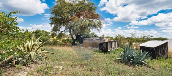 4 bedrooms House in Coruche, Portugal No. 181246 9