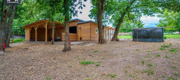 7-salle Villa à Salzlandkreis, Germany No. 330944 22