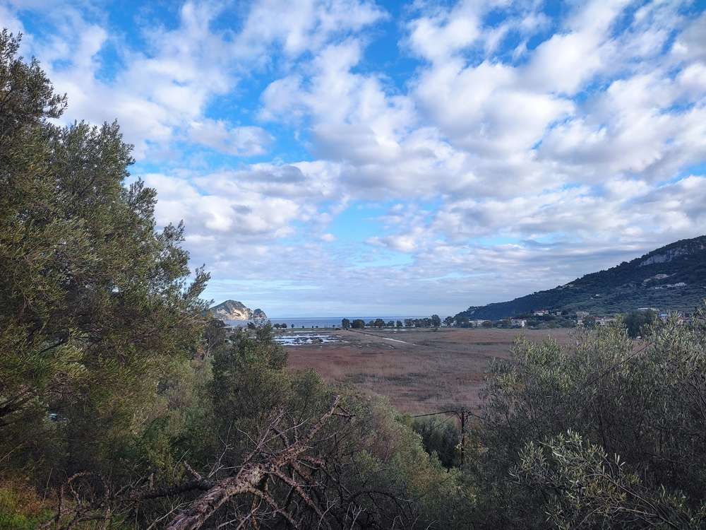  Commercial property in Zakynthos, Greece No. 491