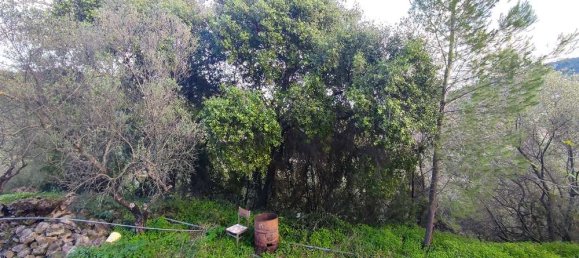  Commercial property in Zakynthos, Greece No. 491 10