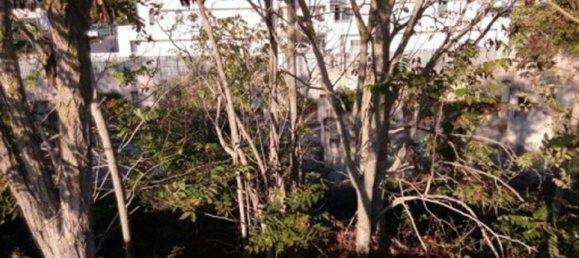 Terreno em Lecce, Italy 3793 m² N.º 306951 11