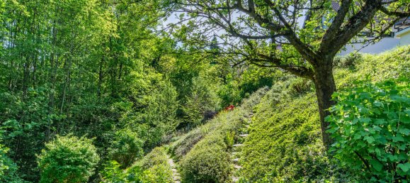 Casa de 6 habitaciónes en Leonding, Austria No. 127553 3
