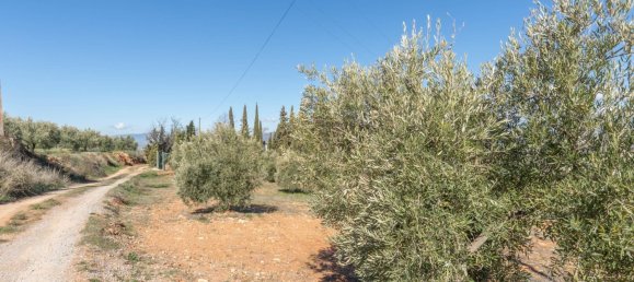 Terreno en Granada, Spain 5787 m² No. 166502 10