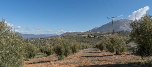 Terreno en Granada, Spain 5787 m² No. 166502 6