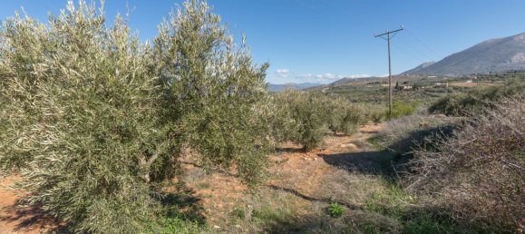 Terreno en Granada, Spain 5787 m² No. 166502 11