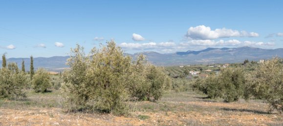 Terreno en Granada, Spain 5787 m² No. 166502 13