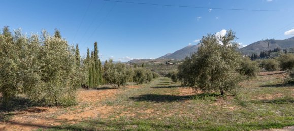 Terreno en Granada, Spain 5787 m² No. 166502 3