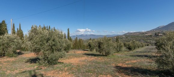 Terreno en Granada, Spain 5787 m² No. 166502 4