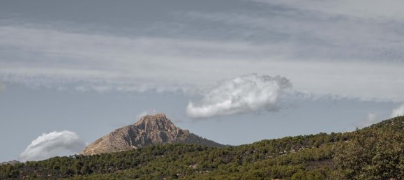 4 chambres Villa à Mallorca, Spain No. 76243 21