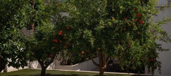 4 chambres Villa à Mallorca, Spain No. 76243 3