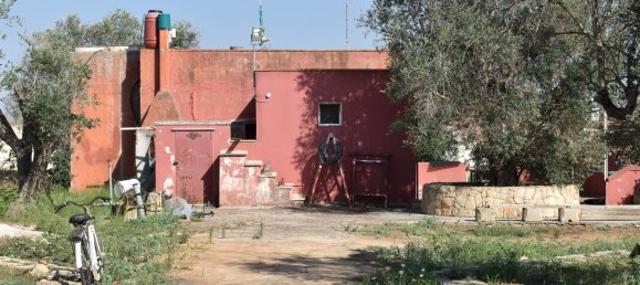 3-Zimmer Haus in Copertino, Italy, Nr. 234791 2