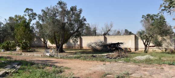 3-Zimmer Haus in Copertino, Italy, Nr. 234791 29