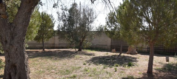 3-Zimmer Haus in Copertino, Italy, Nr. 234791 36