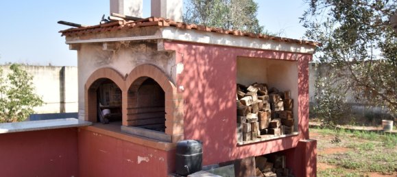 3-Zimmer Haus in Copertino, Italy, Nr. 234791 4