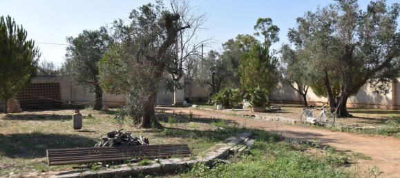 3-Zimmer Haus in Copertino, Italy, Nr. 234791 28