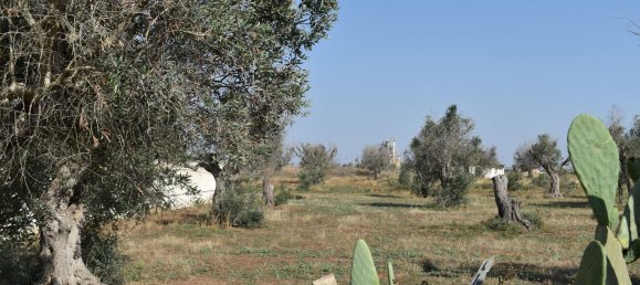 3-Zimmer Haus in Copertino, Italy, Nr. 234791 21