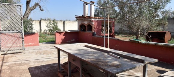 3-Zimmer Haus in Copertino, Italy, Nr. 234791 3