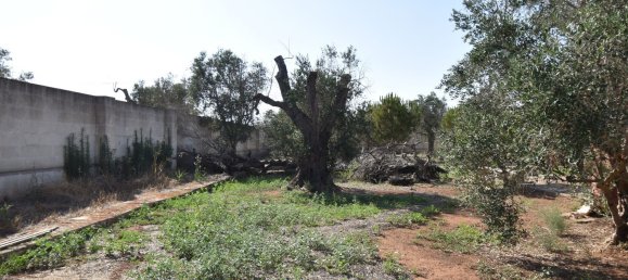 3-Zimmer Haus in Copertino, Italy, Nr. 234791 30